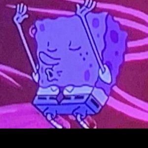 Meet your Posher, Paige